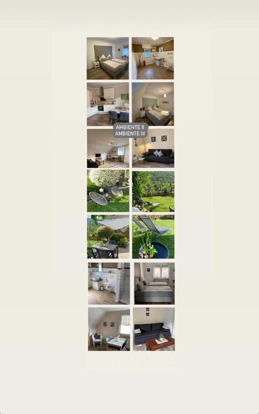 Ferienwohnung Ambiente II Und III Klotten Εξωτερικό φωτογραφία